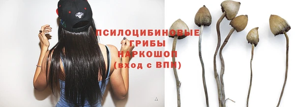 спайс Арсеньев