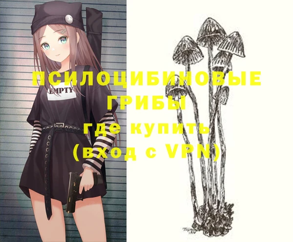 спайс Арсеньев