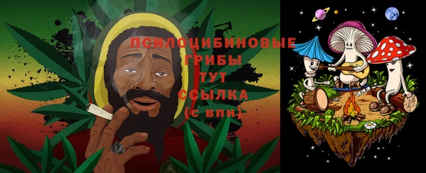 спайс Арсеньев