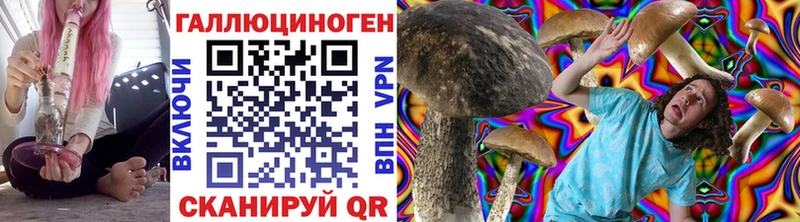 цены наркотик  Суоярви  Псилоцибиновые грибы Psilocybe 